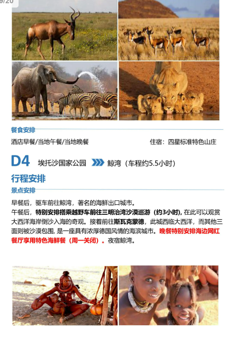 dc9e53127665dabc498f837d73ea303e