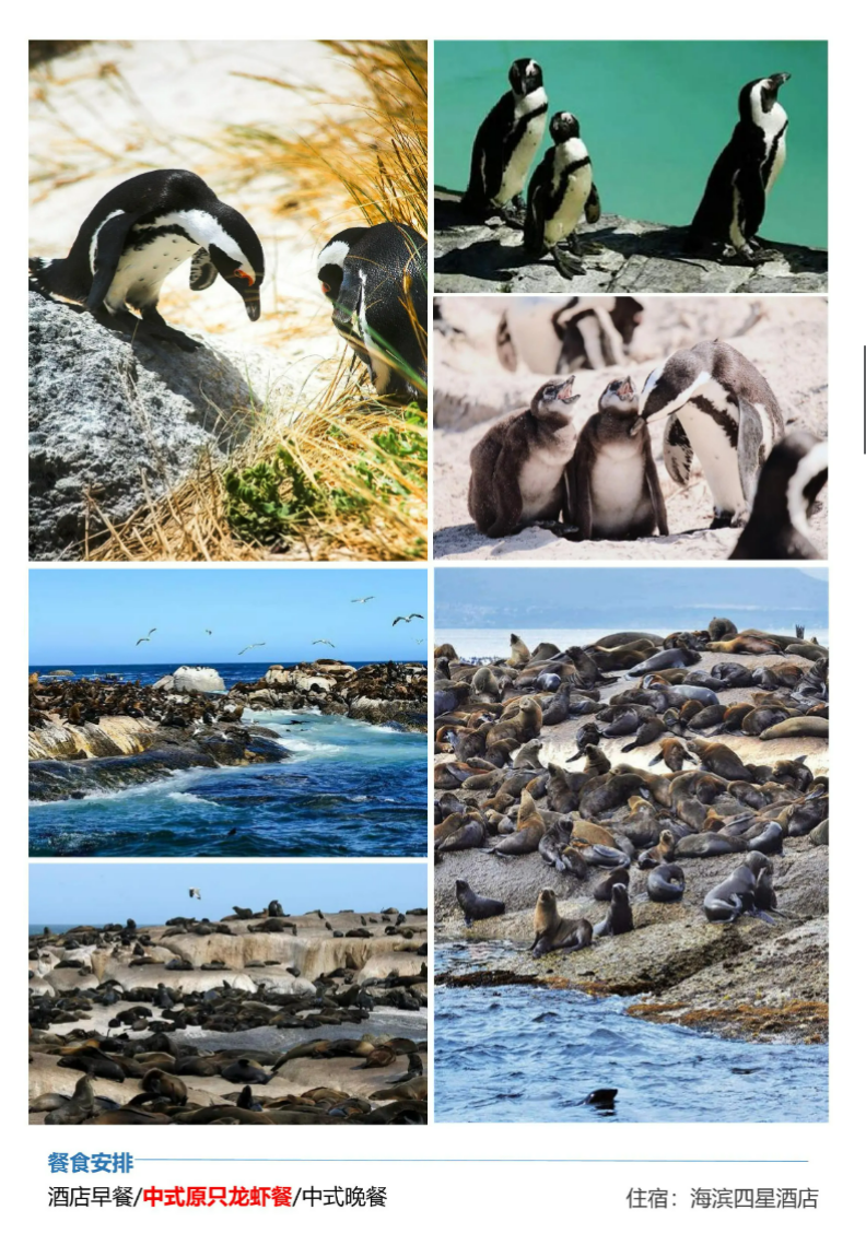 9c7413c15023336c7f39ac021fe399da