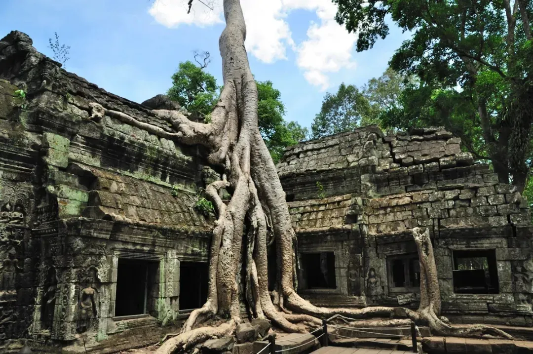 34cb40016547fd7a75ba3628cd6c992d-sz_1450769 34cb40016547fd7a75ba3628cd6c992d-sz_1450769