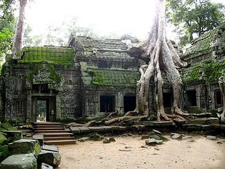 617148fb05b36f3d0c4c875adbcc3015-sz_59764-1