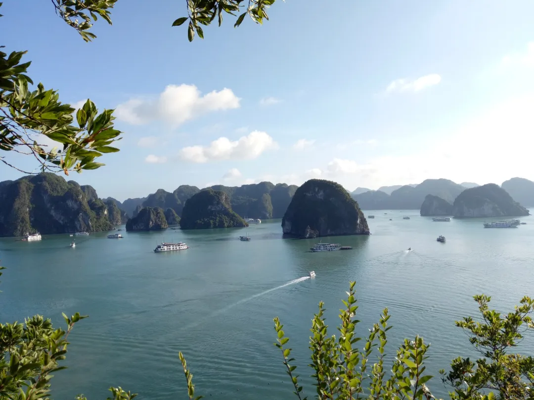 93f68d3f02d6ca29d20ee1f037cb8649-sz_571299-1