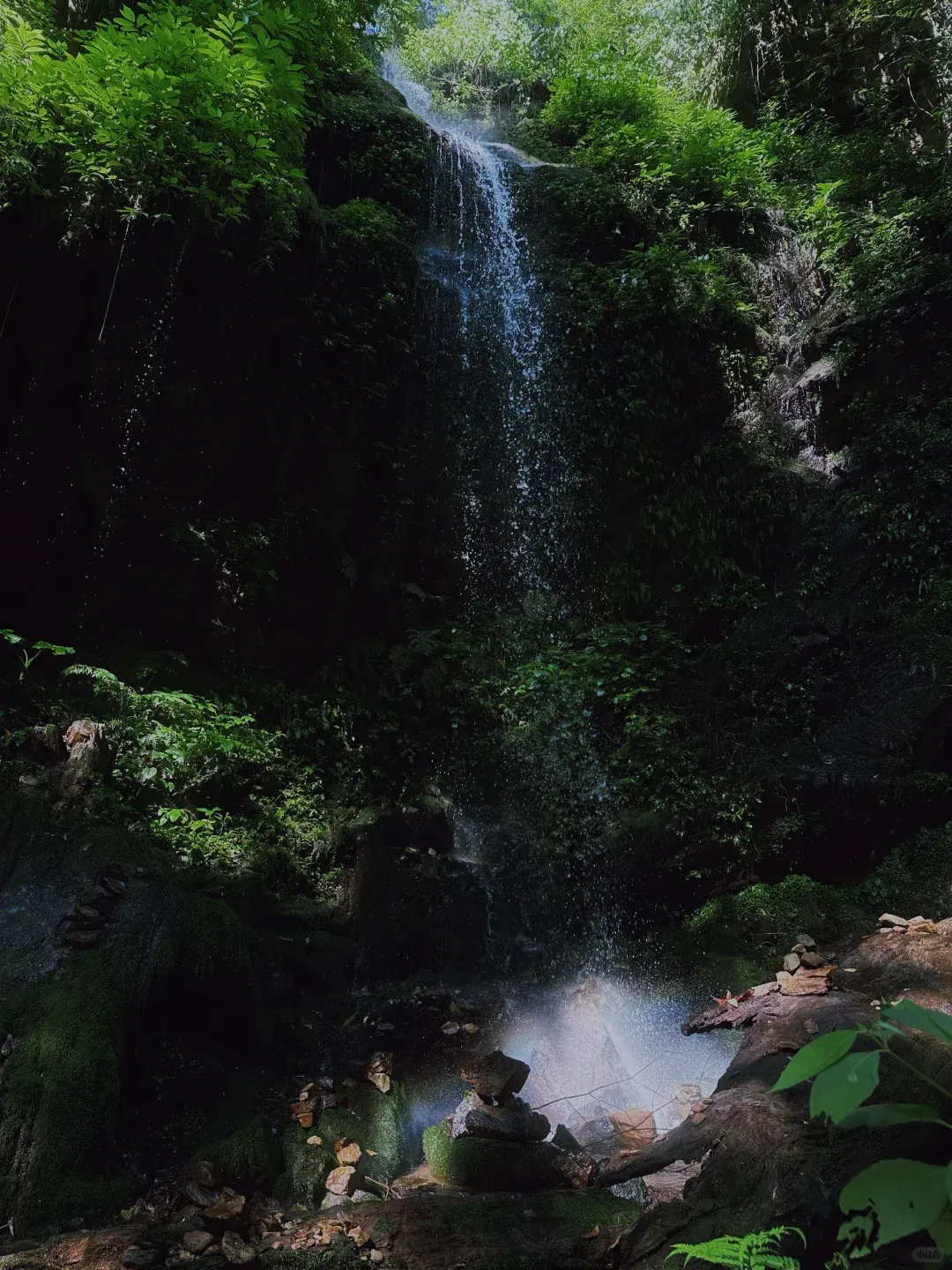 4c298815bedc3c925a71dde708ea2dd3-sz_2574795