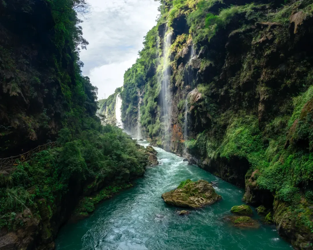 5c2af1fd42695b1384d670831dded4dc-sz_2475785