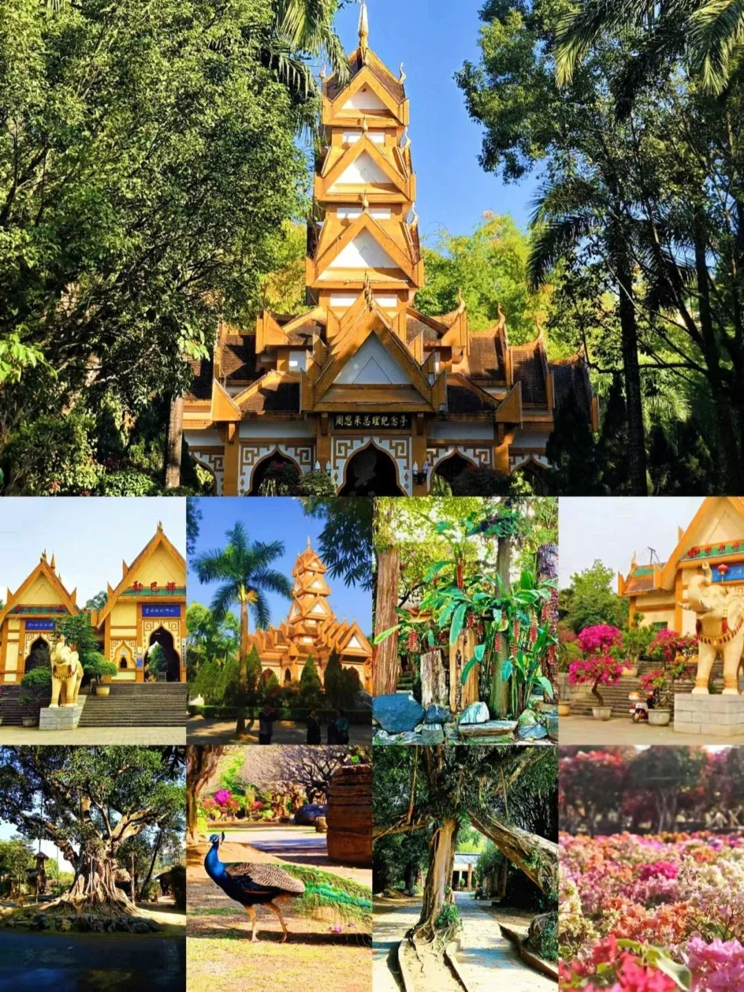 e4285e21bf2ada82954242af57c55195-sz_2962036-1